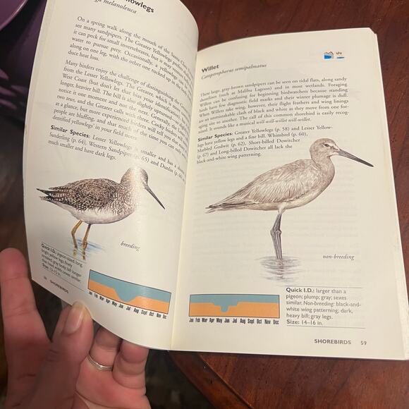 Birds Of Los Angeles Including Santa Barbara, Ventura & Orange Counties book - Picture 3 of 6